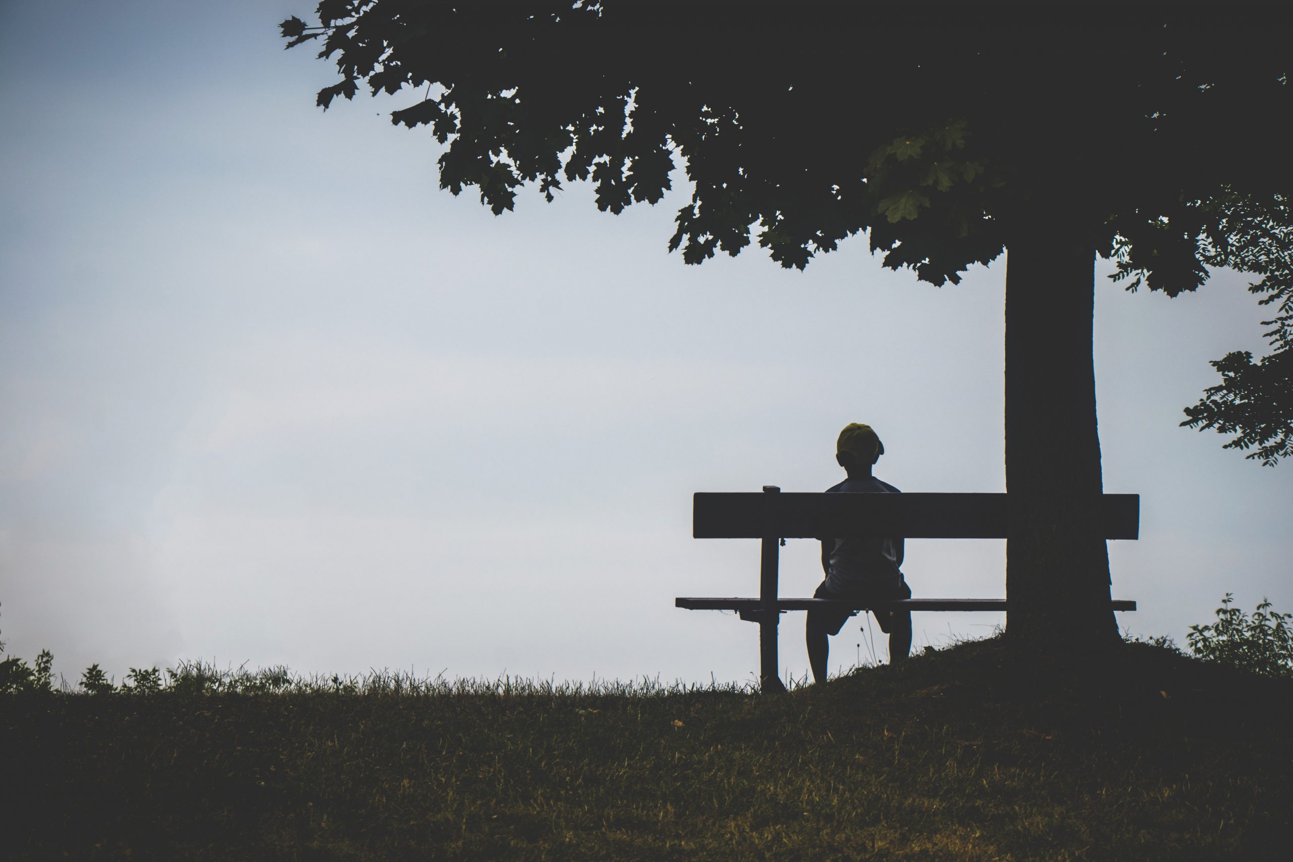 Person on Bench Under Tree